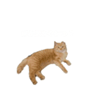 こじにゃ（個別スタンプ：2）