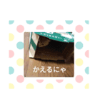 こじにゃ（個別スタンプ：8）