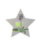 植物画風スタンプ（個別スタンプ：6）