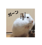 今日のけだま2（個別スタンプ：6）