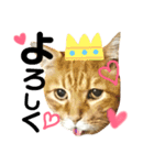 ユミの猫2（個別スタンプ：6）