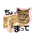 ユミの猫2（個別スタンプ：8）