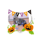 ウフフ（個別スタンプ：1）