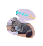 ウフフ（個別スタンプ：6）