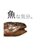 〇〇な気分。（個別スタンプ：3）