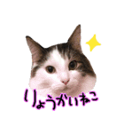 くろーねのかっこいいスタンプ（個別スタンプ：1）