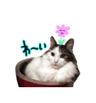 くろーねのかっこいいスタンプ（個別スタンプ：4）