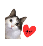 くろーねのかっこいいスタンプ（個別スタンプ：5）