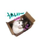 くろーねのかっこいいスタンプ（個別スタンプ：12）