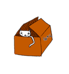 のびのびキャッツ（個別スタンプ：13）