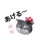 ゆずとぽん太（個別スタンプ：17）