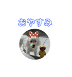 まあく君（個別スタンプ：2）