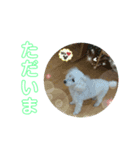まあく君（個別スタンプ：5）