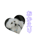 まあく君（個別スタンプ：6）