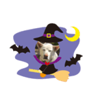 ハナとチーズでハロウィン（個別スタンプ：4）