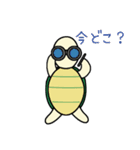 癒しのウサギとカメ（個別スタンプ：38）
