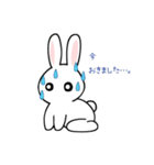 癒しのウサギとカメ（個別スタンプ：39）