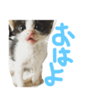 くうちゃんスペシャル（個別スタンプ：1）