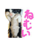 くうちゃんスペシャル（個別スタンプ：2）