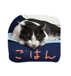 くうちゃんスペシャル（個別スタンプ：3）