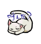 らくがき猫と犬（個別スタンプ：1）