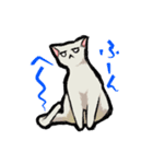 らくがき猫と犬（個別スタンプ：3）