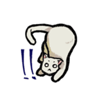 らくがき猫と犬（個別スタンプ：5）