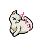 らくがき猫と犬（個別スタンプ：6）