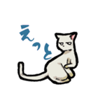 らくがき猫と犬（個別スタンプ：11）
