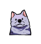 らくがき猫と犬（個別スタンプ：24）