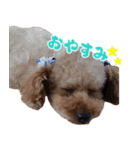 トイプの勘吉（個別スタンプ：2）