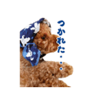 トイプの勘吉（個別スタンプ：6）