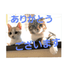 ひこ＆くー 4（個別スタンプ：7）