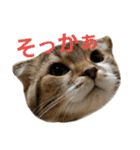 ひこ＆くー 4（個別スタンプ：14）