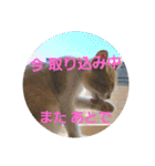 ひこ＆くー 4（個別スタンプ：15）
