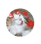 ひこ＆くー 4（個別スタンプ：18）