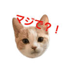 ひこ＆くー 4（個別スタンプ：23）