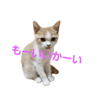 ひこ＆くー 4（個別スタンプ：31）