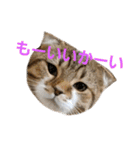 ひこ＆くー 4（個別スタンプ：33）