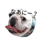 つけめんスタンプ（個別スタンプ：8）