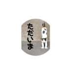 お寺猫のりたま NEW（個別スタンプ：6）