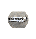 お寺猫のりたま NEW（個別スタンプ：7）