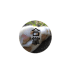お寺猫のりたま NEW（個別スタンプ：10）