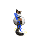 お寺猫のりたま NEW（個別スタンプ：22）