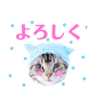 sima-sima nekoのスタンプ（個別スタンプ：4）