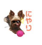 くーちゃんのはっぴースタンプ（個別スタンプ：9）