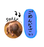 ゆのかきょうや（個別スタンプ：1）