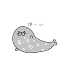 ゼニガタアザラシのスタンプ（個別スタンプ：16）