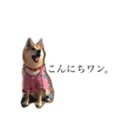 澤田家四兄妹（個別スタンプ：1）