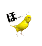 るち withふぁみりー（個別スタンプ：2）